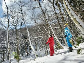 新庄村森林セラピー スノーシューコース