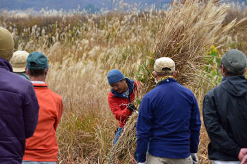 古民家の屋根材 茅(かや)刈体験