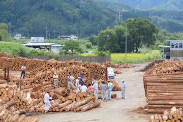 バイオマスの源 真庭の林業と木材業本流コース
