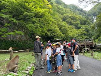 オオサンショウウオ(湯原温泉)・サル(神庭の滝)の生態系学習コース