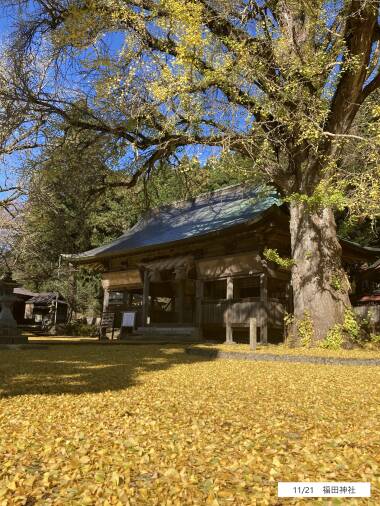 蒜山高原の紅葉情報