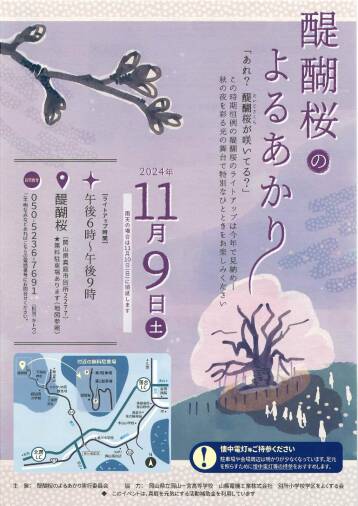 醍醐桜のよるあかり（2024年11月9日）