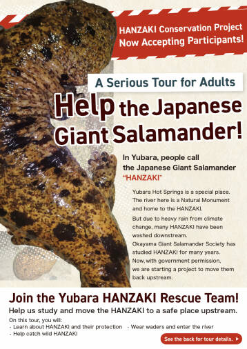 Japanese Giant Salamander Conservation Survey Tour. (with an English-speaking guide.)